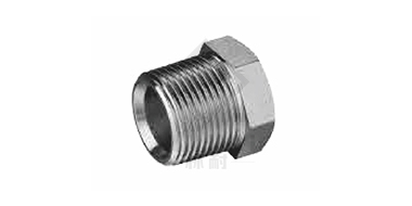 British pipe external thread 60° inner cone or hexagonal end surface with combination pad sealing plug
